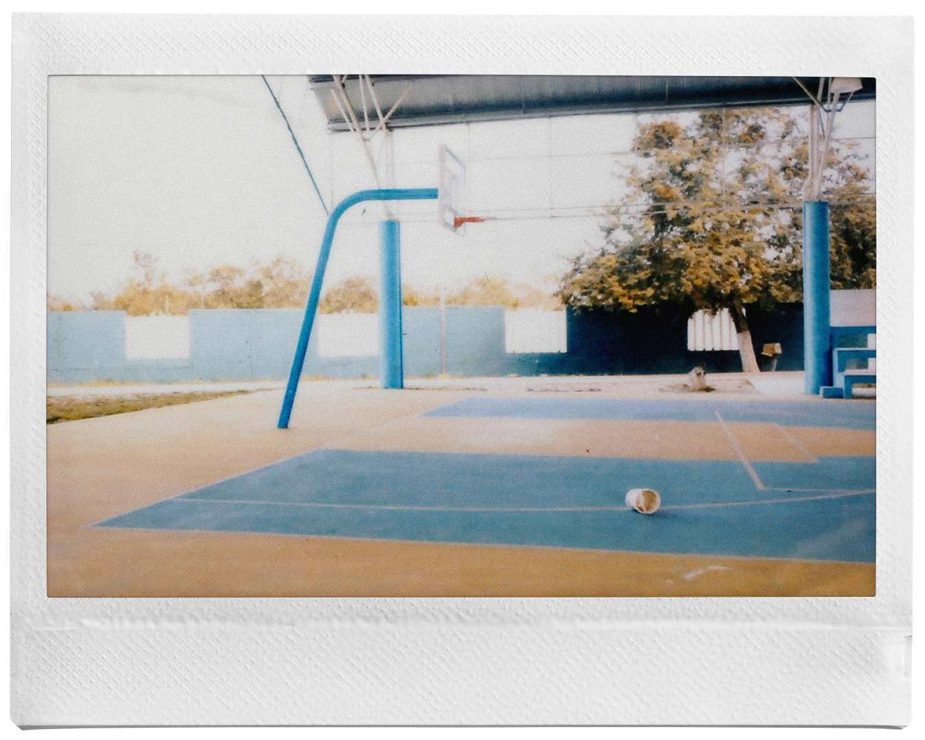 instax_WIDE_White59 copy